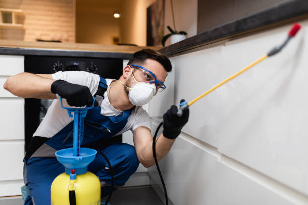 Best Residential Pest Control  in Rouse, CA