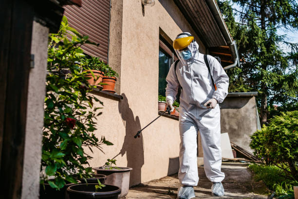 Best Affordable Pest Control Services  in Rouse, CA