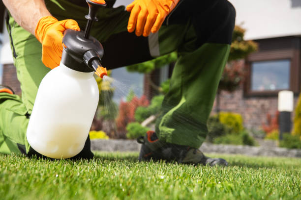 Best Wildlife Control Services  in Rouse, CA