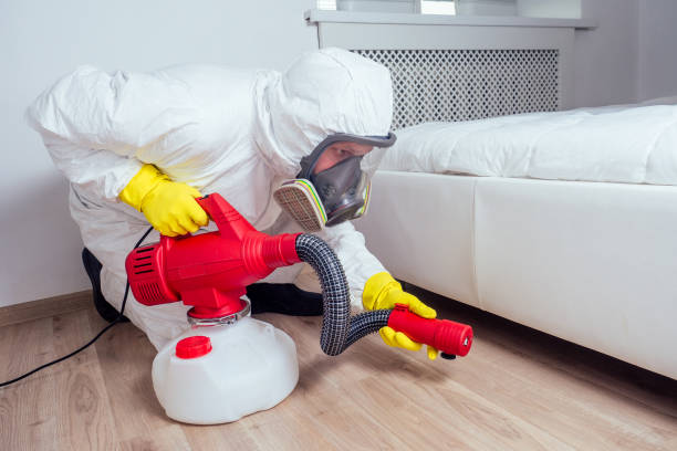 Best Pest Removal Services  in Rouse, CA