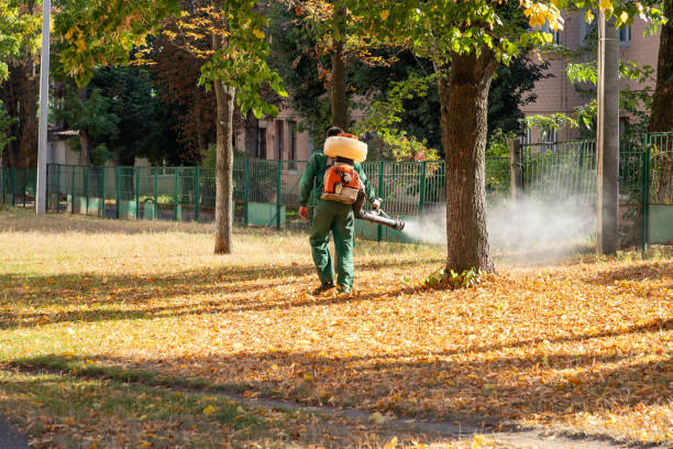 Best Rodent Control Near Me  in Rouse, CA
