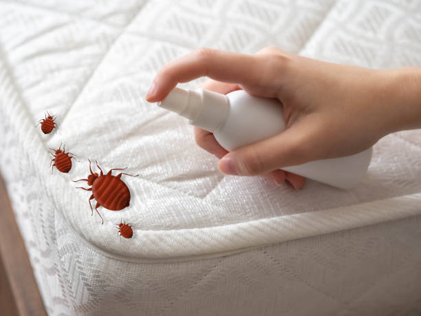 Best Flea Control Services  in Rouse, CA